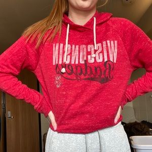 wisconsin badger hooded long sleeve